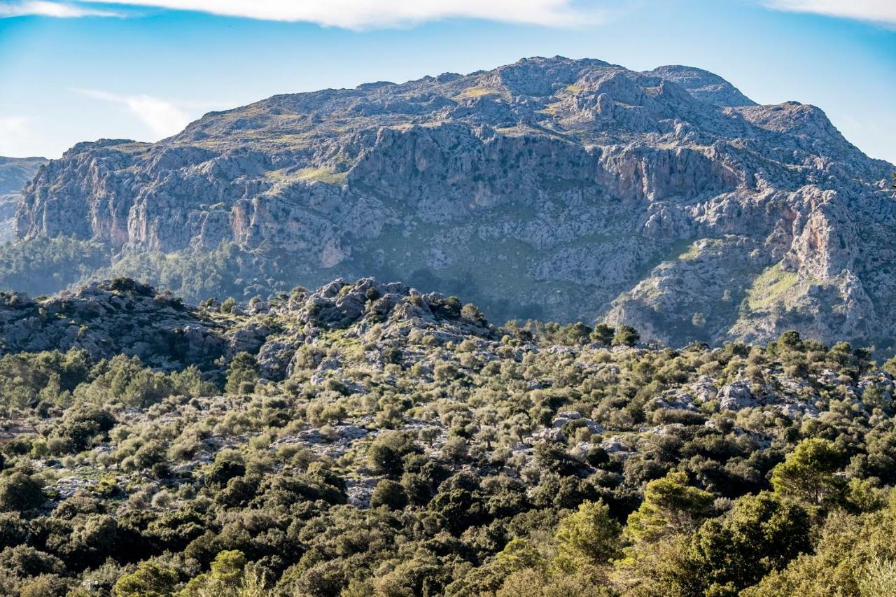 Agroturismo Son Alzines Lluc Extérieur photo