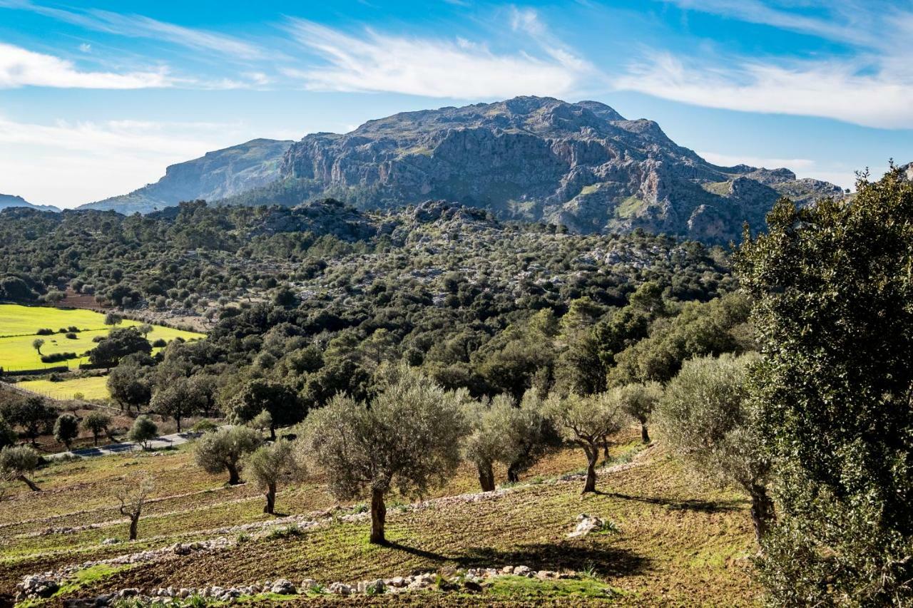 Agroturismo Son Alzines Lluc Extérieur photo