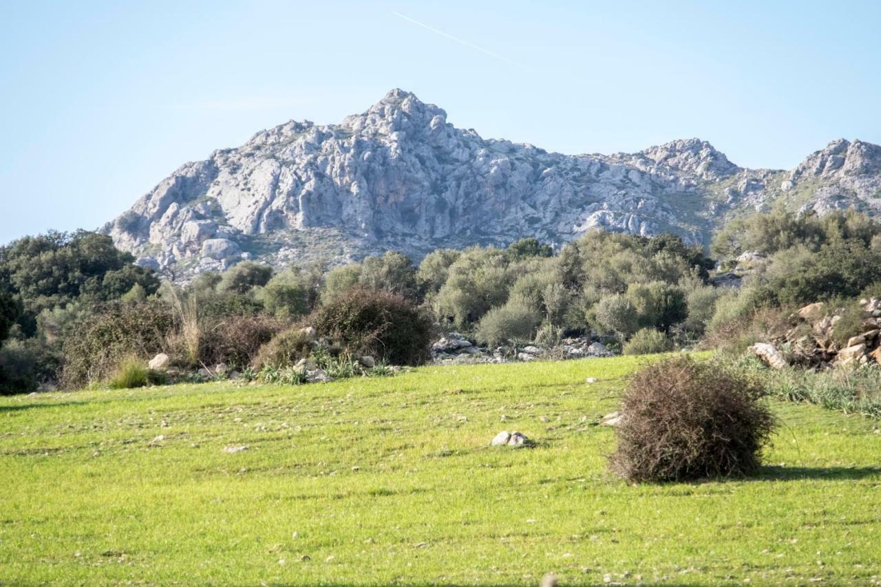 Agroturismo Son Alzines Lluc Extérieur photo